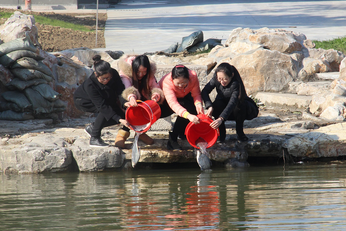 1488167215139513.png blob.png